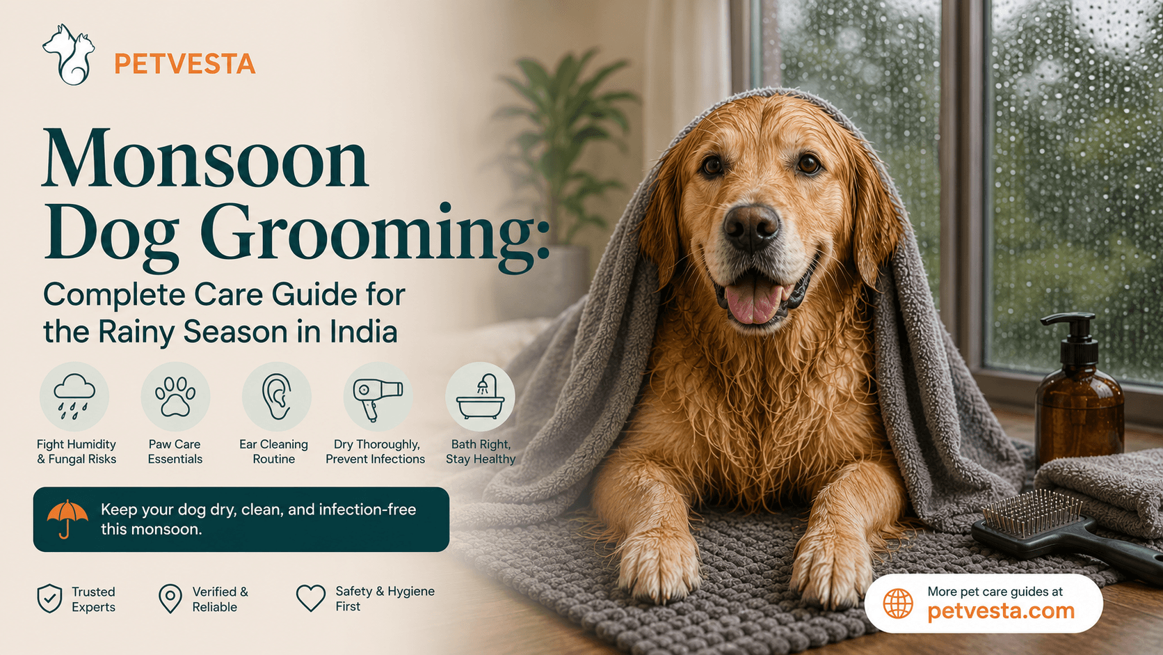 Monsoon Dog Grooming Guide: Keep Your Pet Dry, Clean & Infection-Free